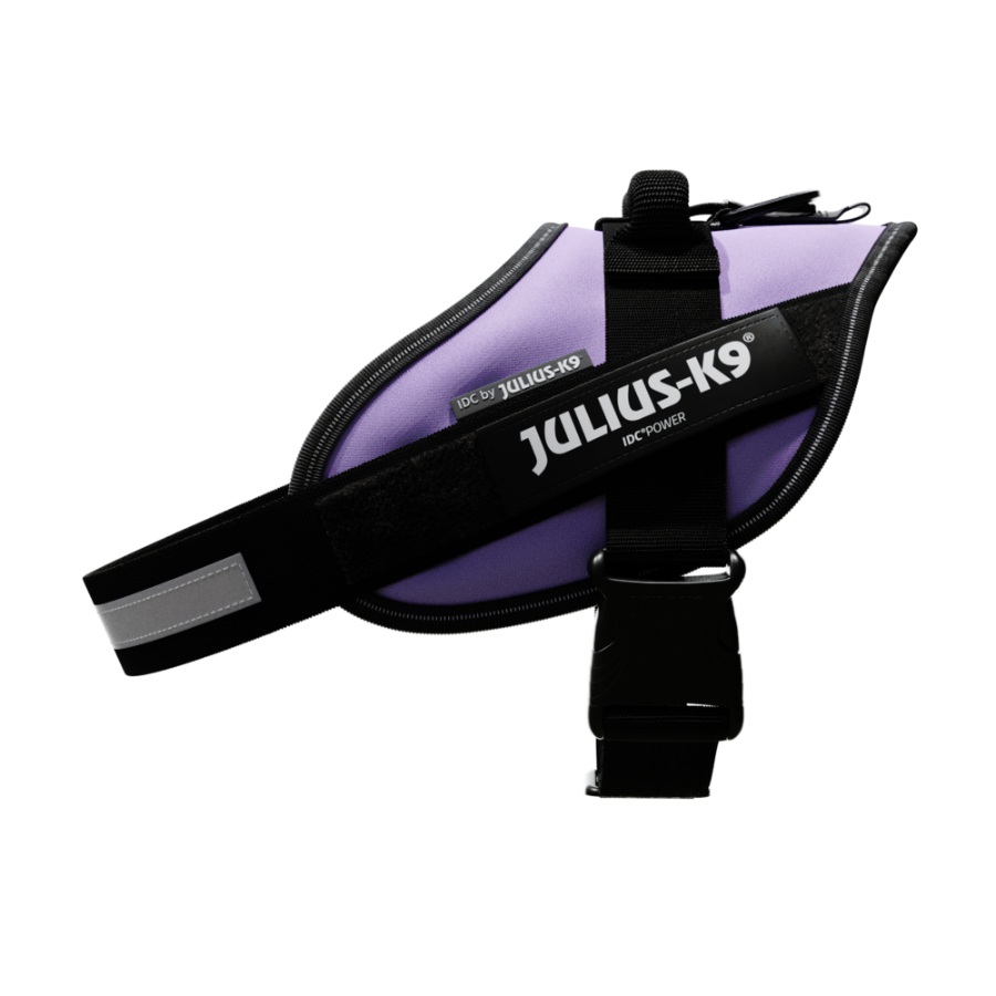 Julius K9 Arn&eacute;s IDC P&uacute;rpura para perros, , large Imagen numero 3